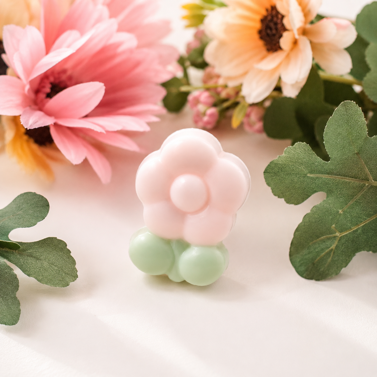 Set  de Colección Flores y Mariposas